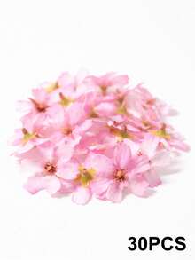 10/30pcs Artificial Flower Heads, 1.57in Mini Simulation Cherry Plum Blossom & Daisy Flower, For DIY Crafts, Wreaths, Photo Frame Decor, Home Decoration, Wedding, Party Decoration, Perfect For Valentine's Day, Thanksgiving, Mother's Day - Multicolor - View 12