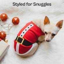 Pet Sweaters - Multicolor - View 7