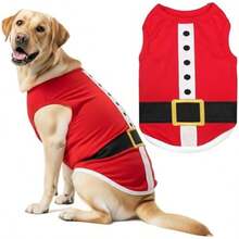 Pet Sweaters - Multicolor - View 2