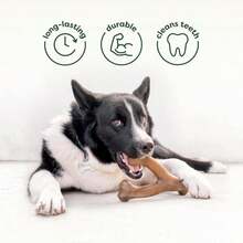 Benebone Pawbler - Natural Rubber Interactive Enrichment Treat And Kibble Dispensing Dog Toy U2013 Great For Boredom - Medium_Large - ColorC - 查看 3