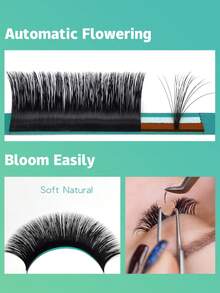 Qeelasee 12排易扇睫毛 0.07mm 自动开花睫毛嫁接 自成簇 快速扇形浓密睫毛 自然柔软妆前睫毛 - 黑色 - 查看 5