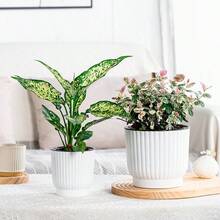 Self-Watering Plant Pots Indoor, Plastic Flower Pot With Water Reservoir For Miniature Plants Seedlings, Thick Round Planter For Indoor Outdoor Use - 白色 - 查看 2