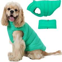 1pc Small Dog Detachable Neck Warmer Down Jacket, Waterproof Dog Vest With Back Zipper, Winter Warm Coat, Elastic Band On Chest, Suitable For Poodle, Chihuahua, Doberman And Other Small/Medium/Large Dogs