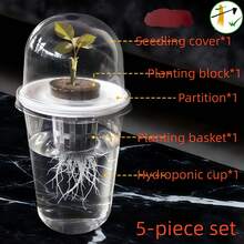 Hydroponic Seed Pot - Transparent Cylindrical Hydroponic Growing Kit With Ventilation Holes, High-Transparency Design For Easy Root Observation, Hydroponic Seed Pot, Hydroponic Growing Kit, Transparent Design, Durable Plastic - Multicolor - View 6