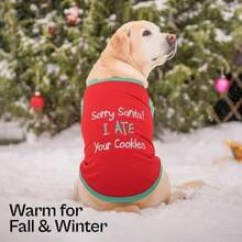 Pet Sweaters - Multicolor - View 5