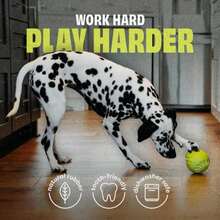 Benebone Pawbler - Natural Rubber Interactive Enrichment Treat And Kibble Dispensing Dog Toy U2013 Great For Boredom - Medium_Large - ColorE - 查看 4
