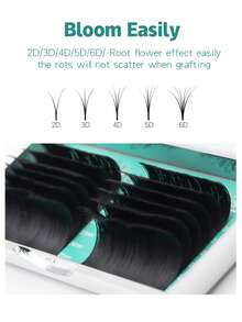 Qeelasee 12排易扇睫毛 0.07mm 自动开花睫毛嫁接 自成簇 快速扇形浓密睫毛 自然柔软妆前睫毛 - 黑色 - 查看 6