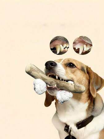 1件装幼犬最爱，咖啡色木质狗狗磨牙玩具 - 互动式磨牙棒，适合所有犬种，牙齿保健及训练辅助用品，尤其适合爱啃咬的狗狗