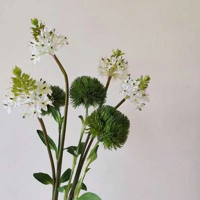 1支仿真石竹，逼真绿色，触感真实，绿色球茎，石竹花，伯利恒星花，适用于家居厨房、婚礼庭院装饰