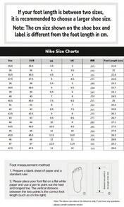 Giày Nike AIR MAX TORCH 4 dành cho nam, đế đệm khí phản quang, giảm sốc, nhẹ và bền, thích hợp cho việc đi lại và chạy bộ, màu trắng bạc thời trang, giày thể thao casual chất lượng cao, sản phẩm bán chạy được đề xuất 343846-100 - Trắng bạc - Xem 5