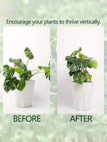 Durable Turtle Shell Bamboo Support System - Metal Climbing Plant Training Rack With Bamboo Handles, Promotes Healthy Plant Growth, Decorative Garden Support Structure | Climbing Plant Trellis | Metal Stabilizer - Multicolor - View 5