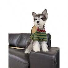 复古风宠物条纹衬衫！经典绿棕色狗狗毛衣，加厚猫咪冬季服装