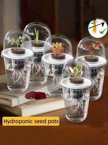 5pcs/Set Hydroponic Planting Pots - Transparent Cylindrical Hydroponic Planting Set, High Transparency Closed Hydroponic Cups, Transparent Design For Easy Root Growth Observation, Ventilation Hole Design - Multicolor - View 6