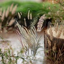 10pcs/Pack (5 Designs, 2 Of Each) Vintage Watercolor Style Dreamy Reeds Landscape Collage Stickers, PET Sticker Pack, Scrapbooking Supplies, Minimalist Floral Plant Decor, Planner DIY, Waterproof Stickers, Stationery Scrapbook Supplies - Multicolor - View 6