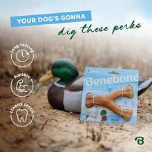 Benebone Wishbone Durable Dog Chew Toy For Aggressive Chewers, Duck, Made In USA, Medium,Medium - Medium - View 5