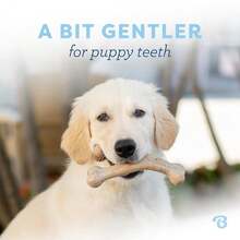 Benebone Puppy Wishbone Dog Chew Toy, Made In USA, Real Bacon Flavor, Small,1Pack,Wishbone-Small - 許願骨-小 - 查看 3