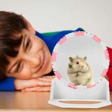 jojofuny Rueda para Hámster de 18 Soporte Rueda de Ejercicio para Mascotas Pequeñas como Hámster Dorado y Jerbo Juguete Compacto para Correr y Entrenar Casa - 1 - Ver 2