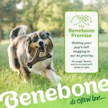 Benebone Wishbone Durable Dog Chew Toy For Aggressive Chewers, Real Peanut, Made In USA, Small, For Any Breed,Small - Small - View 7
