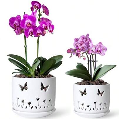 AWYYSet Of 2 White Orchid Pots With Butterflies And Tulips Holes And Saucer 6 + 5 Inch Ceramic Orchid Planters For Repotting With Drainage Holes And Tray For Indoor Outdoor