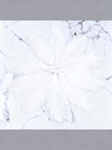 10pcs Artificial Ostrich Feathers, Viral Photo Feather Backdrop, Feather Decor, Jewelry Making Feathers, DIY Wedding Home Decor, Craft Clothing Accessories, Cake Decorations