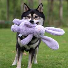Best Pet Supplies Interactive Bunny Buddy Dog Toy With Crinkle And Squeaky Enrichment For Small And Medium Breed Puppies Or Dogs, Cute And Pl 11ush - Bunny (Purple), Small,Small,Bunny(Purple) - 兔子(紫色) - 查看 7