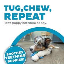 Outward Hound Bone Tugz Tug-Of-War Dog Chew Toy, Blue,One-Size,BonetugzBlue - BonetugzBlue - 查看 6