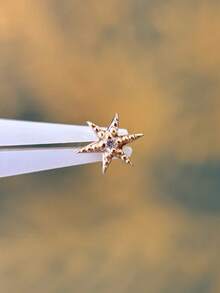 EleRunis 1 قطعة أقراط مطرزة من الفضة الإسترليني عيار 925 بتصميم غير متماثل لنجمة البحر والسمكة الذهبية، مناسبة للارتداء اليومي، الزفاف، الحفلات، الخطوبة، الأعياد، عيد الحب وغيرها من المناسبات