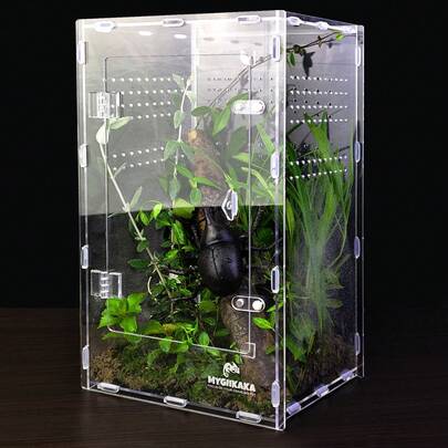 360° Transparent Acrylic Jumping Spider Enclosure Breeding Box Spliced Reptiles Geckos Insect Ventilated Terrarium