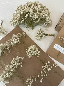 20/50/100/150/300支象牙白迷你满天星及其他干花 - 适用于树脂模具工艺美术，可用于制作发饰、婚礼花环、桌面摆件、家居装饰 - 白綠色(乾燥花) - 查看 1
