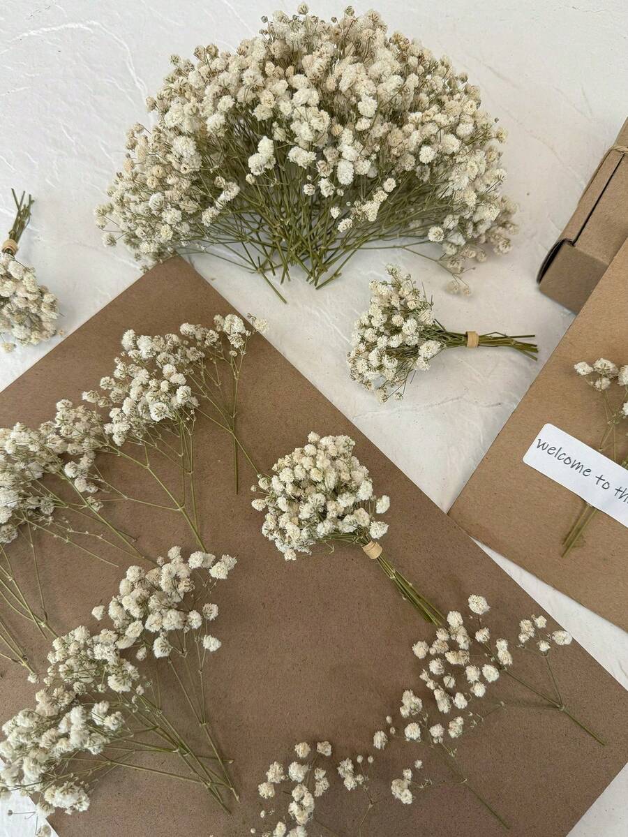 20/50/100/150/300支象牙白迷你满天星及其他干花 - 适用于树脂模具工艺美术，可用于制作发饰、婚礼花环、桌面摆件、家居装饰 - 白綠色(乾燥花) - 查看 1