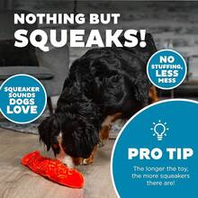 Outward Hound Durablez Stuffing-Free Squeaky Interactive Dog Toy, Tough Pl 11ush, Snake, Pink, Large,Large(Packof1),PinkSnake - PinkSnake - Xem 4