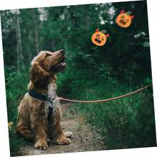 Pet Plush Toys - 1 - View 5