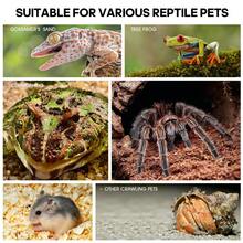 360° Transparent Acrylic Jumping Spider Enclosure Breeding Box Spliced Reptiles Geckos Insect Ventilated Terrarium - Style 1 - View 6