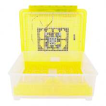 Incubadora inteligente para 48 huevos 10589 DECO HOGAR - Amarillo - Ver 3