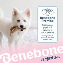 Benebone Puppy Wishbone Dog Chew Toy, Made In USA, Real Bacon Flavor, Small,1Pack,Wishbone-Small - 許願骨-小 - 查看 7