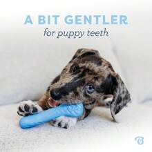 Benebone Puppy 2-Pack Rubber Bone/Wishbone Bacon Tiny,2Pack,Rubber-Tiny - Rubber-tiny - View 3