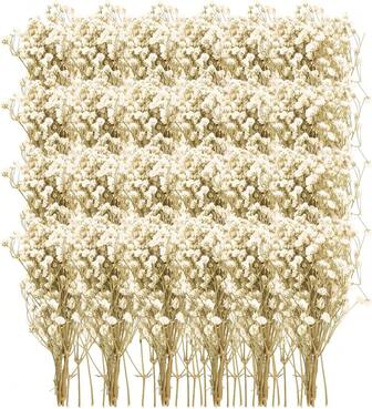 50 Pcs Mini Dried Babys Breath Flowers Bulk 3D Stereo 6 Inch 3000+ Ivory White Flowers Real Natural Gypsophila Bouquet Dry Floral Branches For Vase Invitations Wedding Party Home Decor DIY Resin Craft