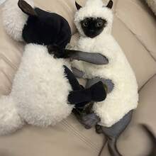 Autumn/Winter New Hairless Cat Clothes, White Hooded Four-Leg Outfit, Anti-Shedding Sphynx Devon Cat Hooded Apparel