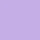 Purple Butterfly