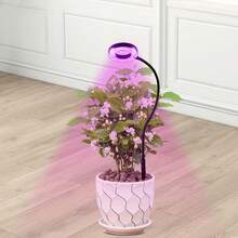 1 Set Red & Blue Light Ground Disk Plant Growth Lamp, Dimmable, Spectrum Switchable, USB Interface, Potted Plant Home Grow Light