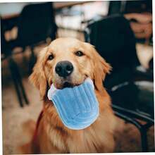 SUPVOX 2piezas Juguete De Masticar para Perros Peluche De Helado para Mascotas para Entrenamiento y Atractivo y Resistente Mordeduras para Perros Pequeños y Medianos - 1 - Ver 4