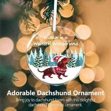 Christmas Ornaments 2025, Dachshund Christmas Decorations Weiner Dog Decor Dachshund Gifts For Women Glass Christmas Dachshund Ornament With Box - As Pic - View 4