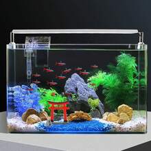 Aquarium Décor