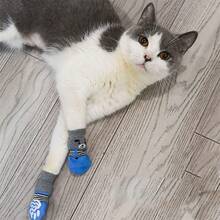 4pcs Small Dog Socks, Protect Pets' Paws And Keep Them Dry