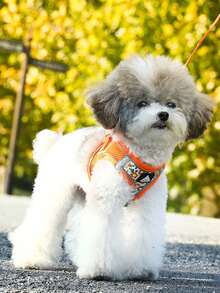 A Set Of Printed Pattern Breathable Mesh Dog Harness And Traction Rope Simple Fashionable And Casual Pet Harness And Traction Rope Set Breathable And Cooler At Night, With Reflective Strips To Improve Visibility And Make It Easier To Be Found To Avoid Traffic Accidents