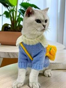 Knitted Sweaters, Teddy Autumn And Winter Outfits, Bichon Frise Poodles, Pomeranian Kittens, Cat And Dog Clothes For Autumn