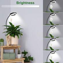 1 Set Lampu Pertumbuhan Tanaman dengan Cakram Tanah, 3 Mode Warna, Pengaturan Waktu, Kecerahan yang Dapat Diatur, Saklar Spektrum, Lampu Pertumbuhan Tanaman Dalam Ruangan Bertenaga USB - 3 warna - View 7
