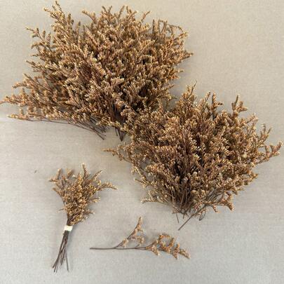 20/50/100/150/300pcs Ivory White Mini Gypsophila & Other Dried Flowers - For Resin Mold Art & Crafts, Suitable For Hair Accessories, Wedding Wreaths, Table Decorations, Home Decor