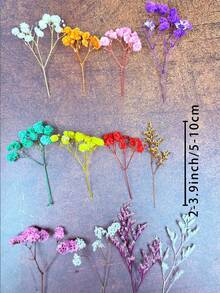 20/50/100/150/300 Stücke Elfenbeinweiße Mini Schleierkraut und andere getrocknete Blumen - für Harz-Gusskunst und Basteln, geeignet für Haarzubehör, Hochzeitskränze, Tischdekoration, Heimdekoration - Grün (Schleierkraut) - Übersicht 5