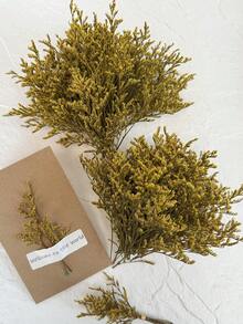 Yellow (Lover's Grass)